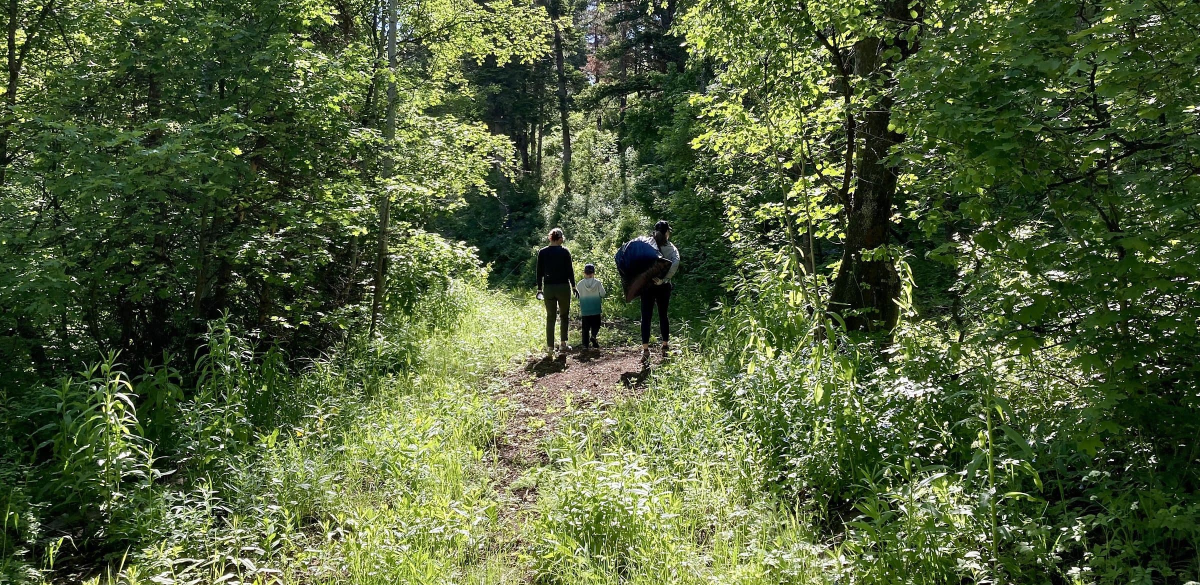 Garlic Mustard Games volunteers walking a shaded trail into the woods
